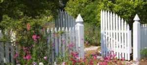 fence in garden
