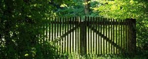 fence gates and fences
