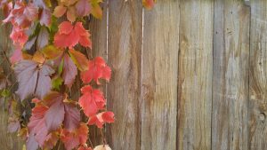 Decorating Your Fence For Fall