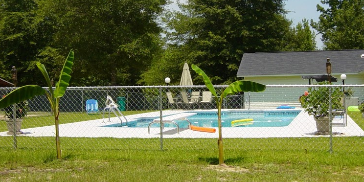 Chain Link Fence with Pool