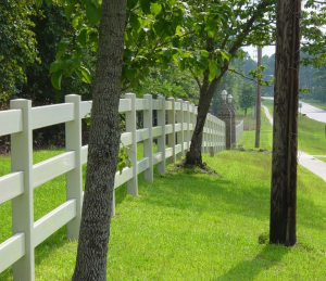 White fence next to trees
